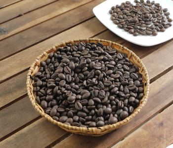 Robusta